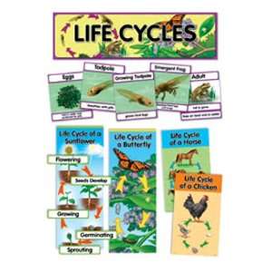  9 Pack CREATIVE TEACHING PRESS LIFE CYCLES MINI BB SET 