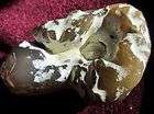 HIGH QUALITY POLISHED SNAKESKIN AGATE, Oregon , SA945 items in 