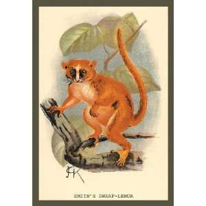  Smiths Dwarf Lemur 24x36 Giclee