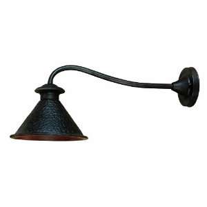   9003 89 Dark Sky Essen Outdoor Lamp, Bronze, Medium