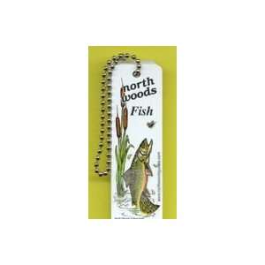  North Woods Fish n/a Books