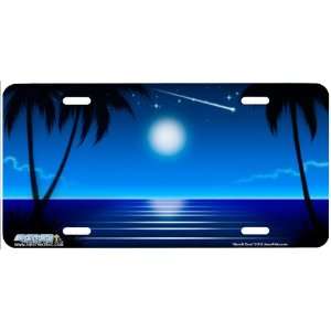  319 Moonlit Cove Beach Scene Airbrushed License Plates Car 