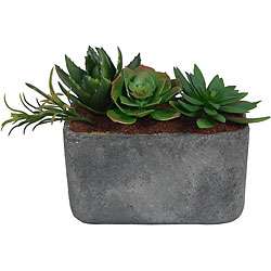 Laura Ashley Clay Container Succulents Silk Plants  
