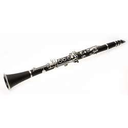 Band/ Orchestra Clarinet Package  