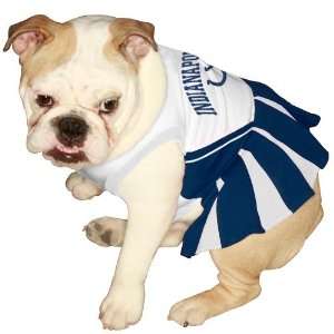   First Indianapolis Colts Pet Cheerleader Uniform