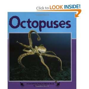  Octopuses (Nature Watch) (9781575053868) Ron Hirschi 