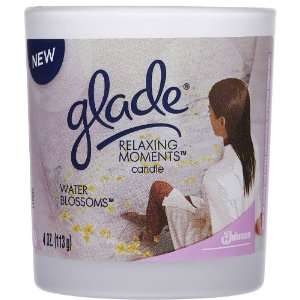 Glade Relaxing Moments Jar Candle, Water Blossoms 