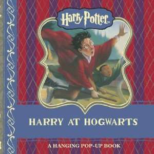  harry potter harry at hogwarts hanging pop up 