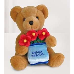  Very Special Message Bear By Build A Bear Workshop Toys & Games