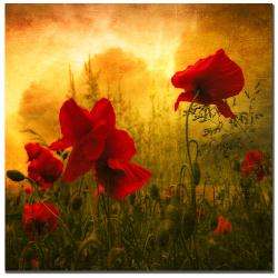 Philippe Sainte Laudy Red for Love Canvas Art  