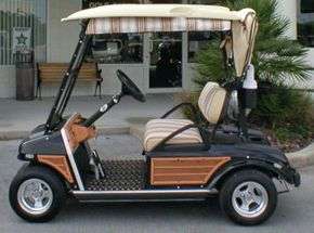 Club Car DS Golf Cart Lt Oak Woody Kit  