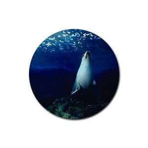  Seal marine life Round Rubber Coaster set 4 pack Great 
