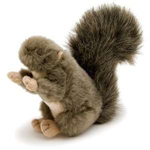  Akc Plush Squirrel   Small