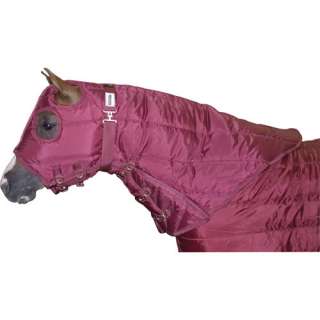 Winter Horse Pony Foal Blanket Hood Cover Burgundy SM S  