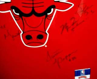 92 93 Signed Bulls Jersey, Jordan, Pippen, 10 Total  