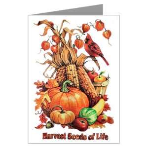  Greeting Cards (20 Pack) Thanksgiving Harvest Seeds of 