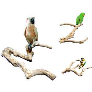 JAVA WOOD PERCH small bird toy parts cage parrots  