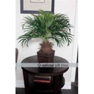 National Discount Stores 24 Phoenix Silk Palm Tree 