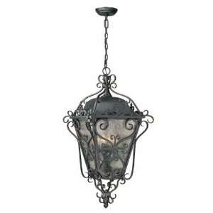   Imports Outdoor WI902399 4 Light Exterior Hanging Lantern Wrought Iron