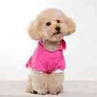   Dogs Fashion Clothing & Pet Supplies Apparel X LARGE SZ18 4055 XL