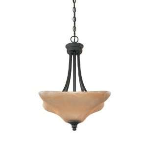   Bella Vista Transitional Three Light Down Lighting Bow Home