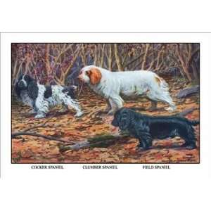  Exclusive By Buyenlarge Cocker Spaniel, Clumber Spaniel, and Field 