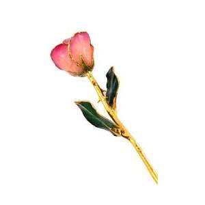    Valentines Day Pink Picasso Gold Dipped Rose