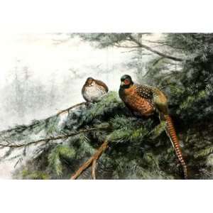  Pheasant Etching Lodge, George Edward Animals, Dogs Birds 