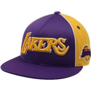 Mitchell & Ness Los Angeles Lakers Purple Gold Wool Mesh Flat Bill 