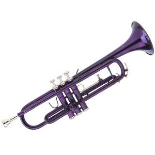 CECILIO 2Series Bb Trumpet w/ Monel Valves 6 Colors  