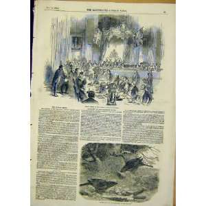    Banquet Mansion House Bower Birds Print 1849