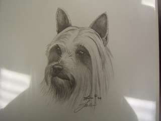 Dog Print Silky Terrier pencil sketch hand signed (jd)  