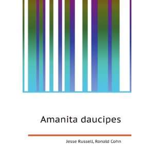  Amanita daucipes Ronald Cohn Jesse Russell Books