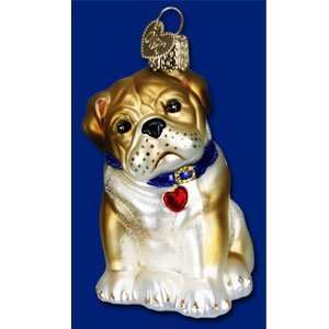  Old World Christmas Bull Pup Dog Glass Ornament #12136 