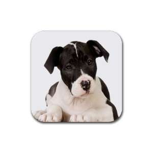 American Staffordshire Puppy Dog Rubber Coaster (4 pack) DD0015