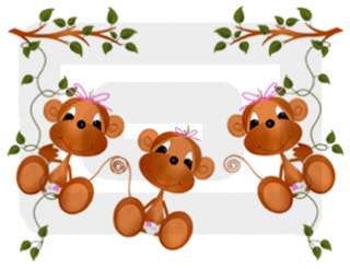   HANGING FROM A VINE NURSERY BABY GIRL WALL BORDER STICKERS DECALS