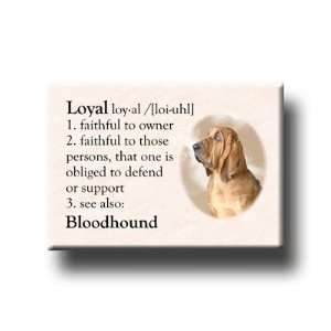  Bloodhound Dictionary Loyal Fridge Magnet 