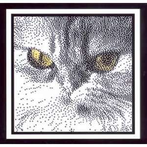   All in the Eyes   Cat Ms. Anastasia (cross stitch)