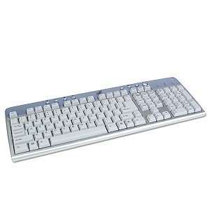  PS/2 110 Key Windows Multimedia Keyboard (Silver/Blue 