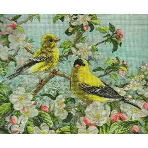   Goldfinches From Bucilla Heirloom Collection Arts, Crafts & Sewing