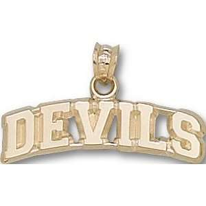  New Jersey Devils Charm/Pendant