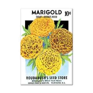 Marigold Seed Packet Artwork Fridge Magnet