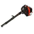 Outdoors   Outdoor Power Equipment   Leaf Blowers   Leaf Blowers   at 