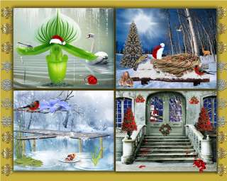 CH4 Christmas Digital Backgrounds Backdrops templates Holiday New Year 