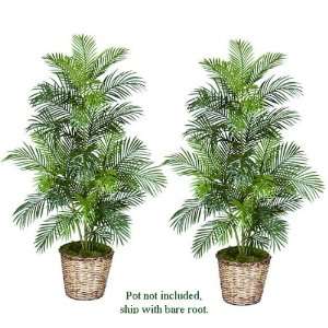 TWO 5 Artificial Areca Palm Trees, with No Pot,