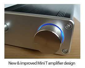 This Mini T Amp gives you all the features of the original amp but 