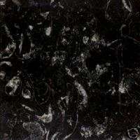 Black Shell Marble Floor Stone 24x24 Travertine Tile  