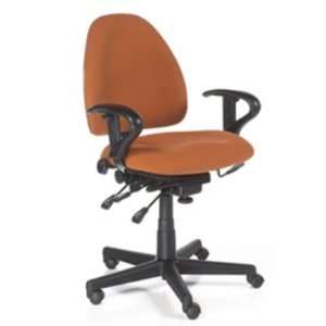   Low Back Ergonomic Multi Function Office Task Chair
