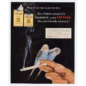  1954 Old Gold Cigarette Blue Parakeets Print Ad (12369 