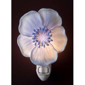  Baby Blue Nightlight   Ibis & Orchid Designs Flowers of 